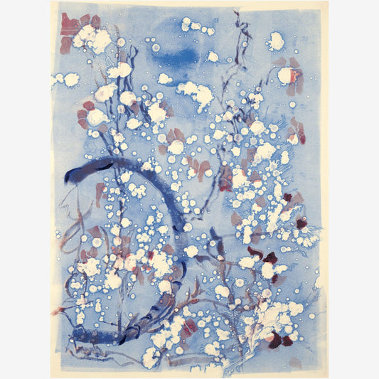 Under the Sea - Van Duyne Prints